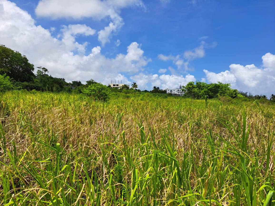 Agricultural land of 46431 m2 for sale in Chemin Grenier, south, Mauritius – LexpressProperty.com | 400770 | Ref01