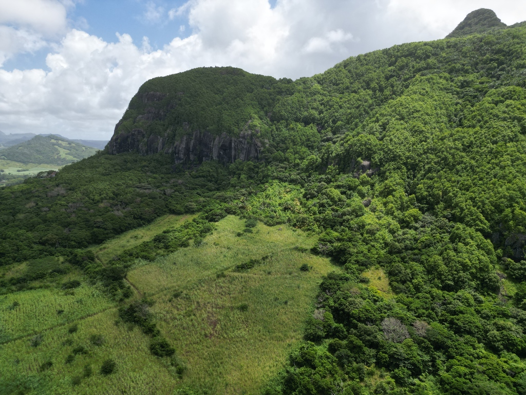 Agricultural land of 21104.35 m² for sale in Vieux Grand Port, south, Mauritius – LexpressProperty.com | 401743 | Ref01