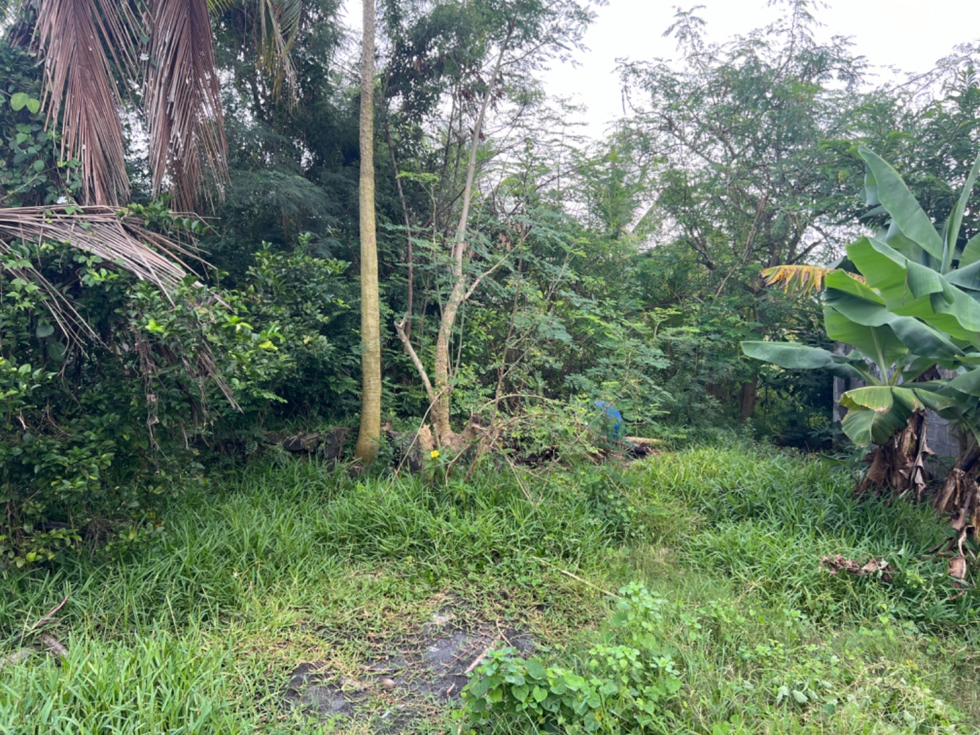 Residential land of 337 m2 for sale in Calebasses, north, Mauritius – LexpressProperty.com | 404965 | Ref01