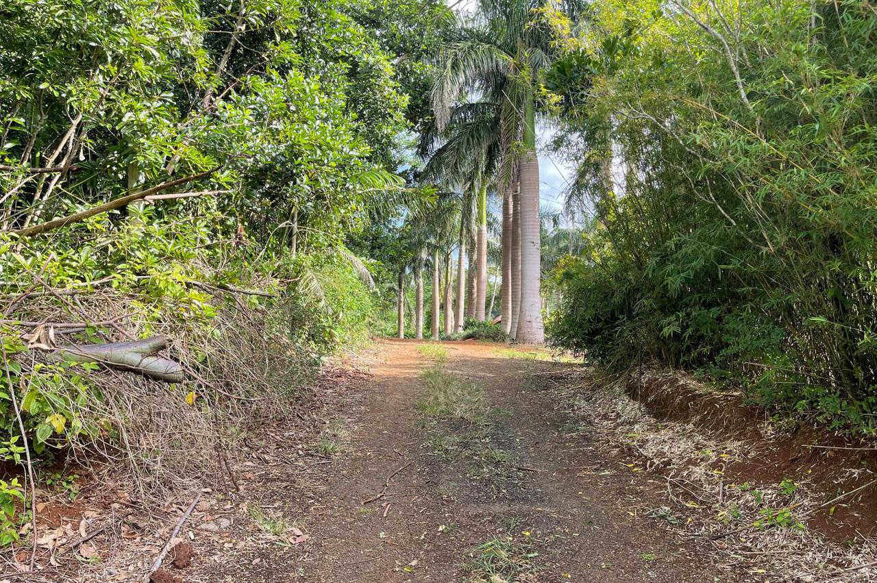 Property – LexpressProperty.com | 384095 | Ref01