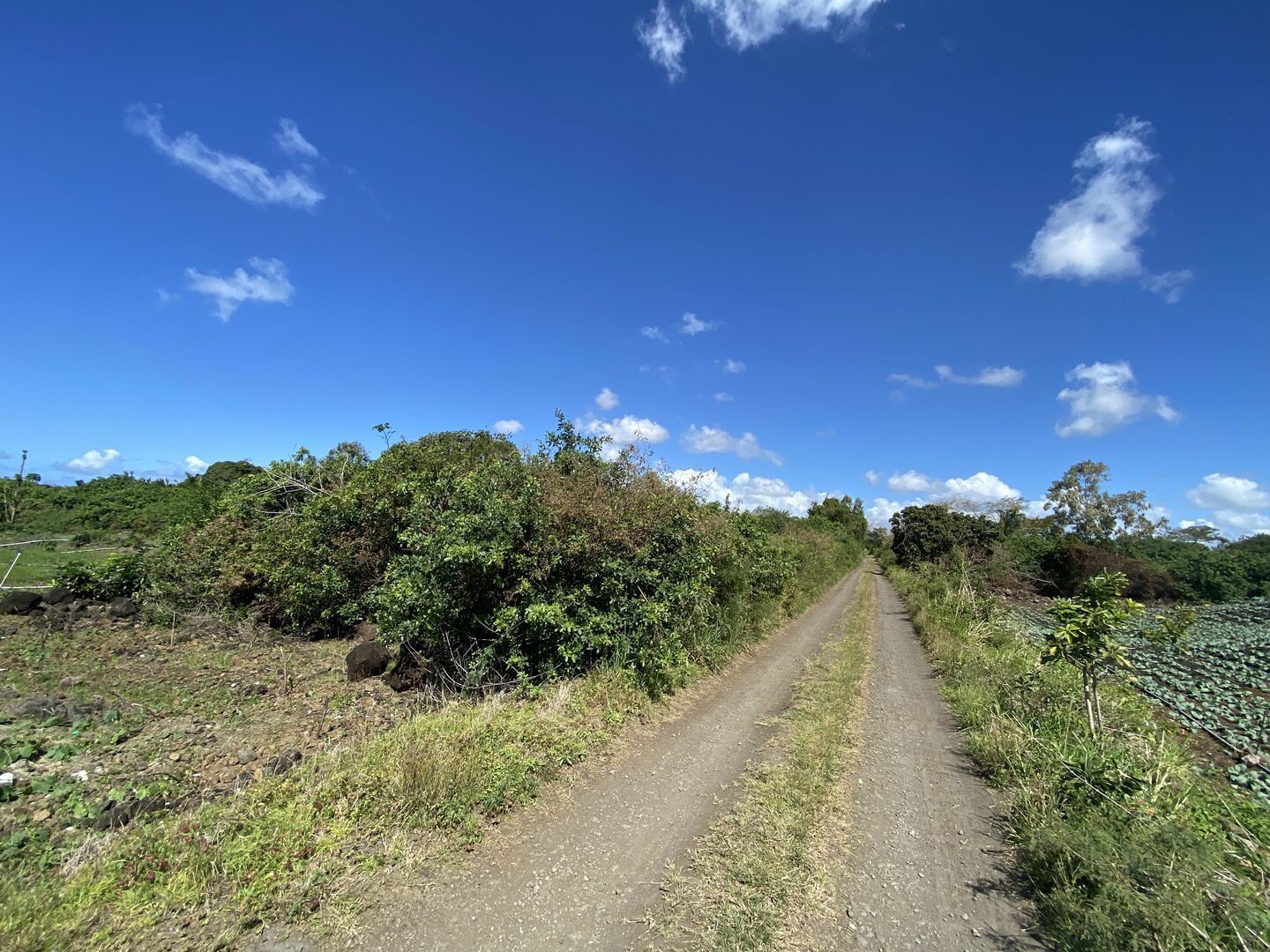 Property – LexpressProperty.com | 502393 | Ref01