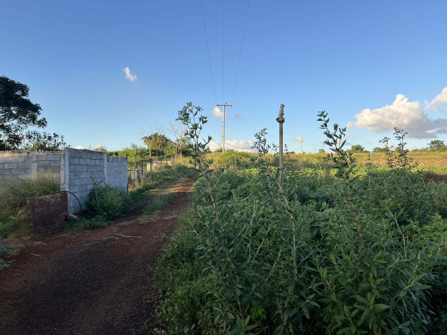 Agricultural land of 21281 m2 for sale in Albion, west, Mauritius – LexpressProperty.com | 502113 | Ref01