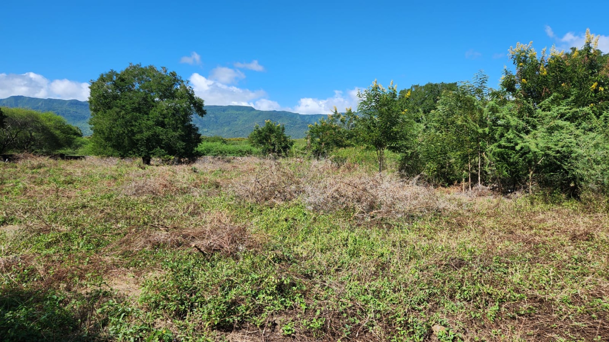 Terrain résidentiel de 2562 m2 en vente à Tamarin, ouest, île Maurice – LexpressProperty.com | 502664 | Ref01