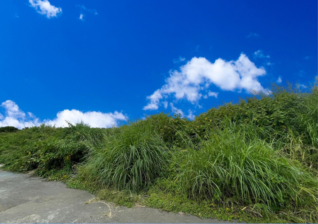 Terrain résidentiel de 2370.29 m2 en vente à Sodnac, centre, île Maurice – LexpressProperty.com | 503945 | Ref01