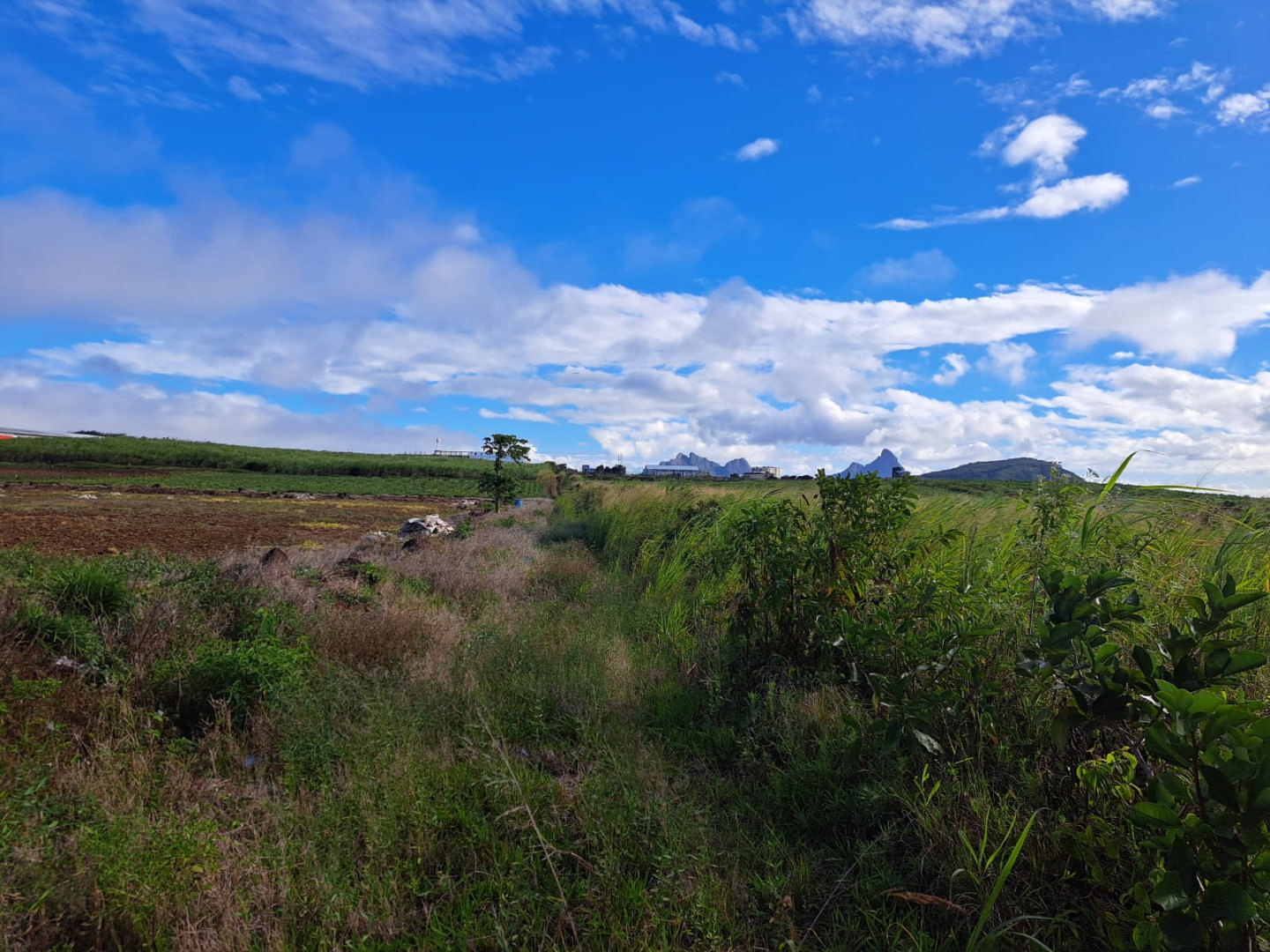 Agricultural land of 4221 m2 for sale in Phoenix, center, Mauritius – LexpressProperty.com | 503959 | Ref01