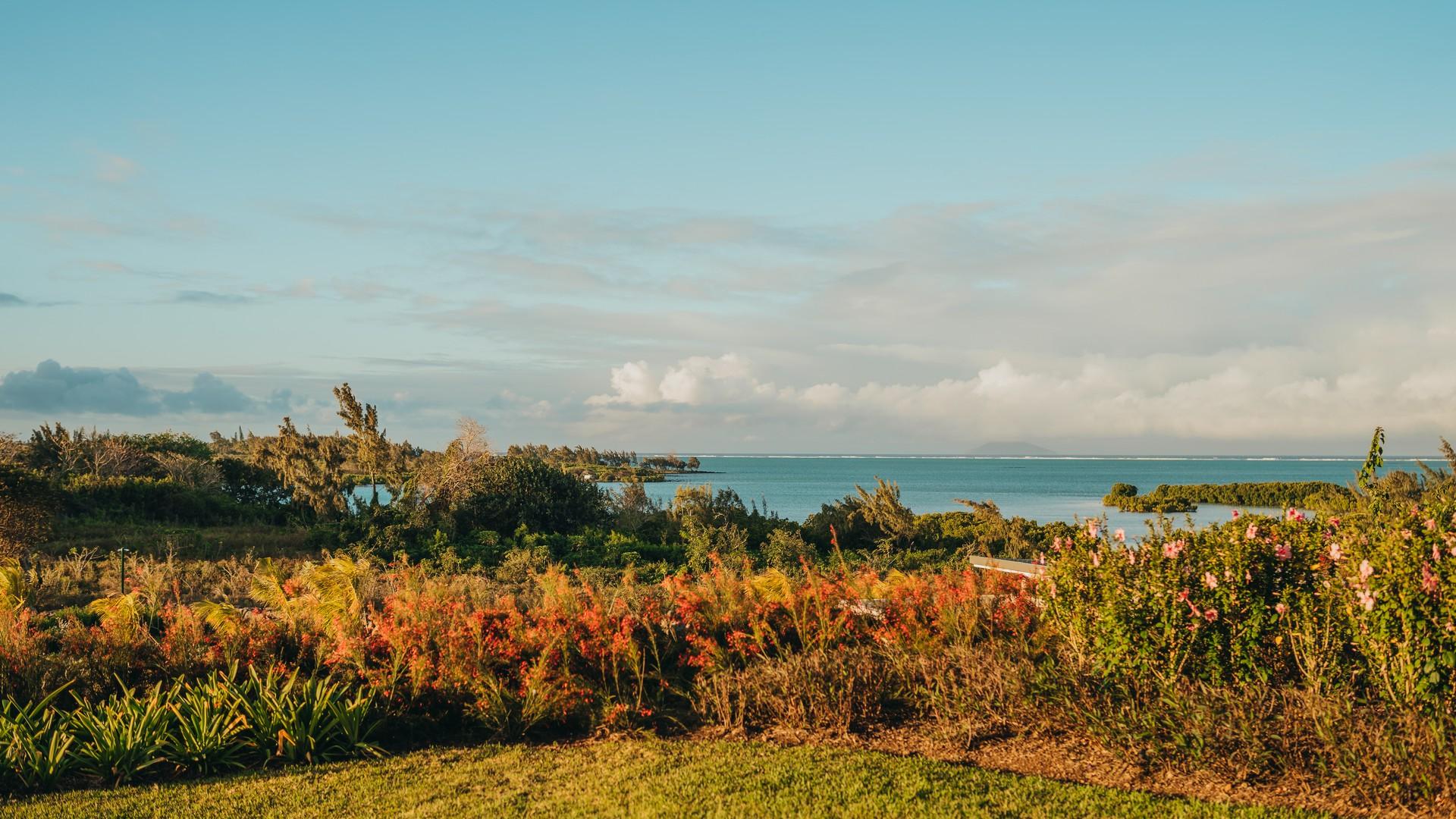 Residential land of 900 m2 for sale in St Antoine, north, Mauritius – LexpressProperty.com | 296253 | Ref01