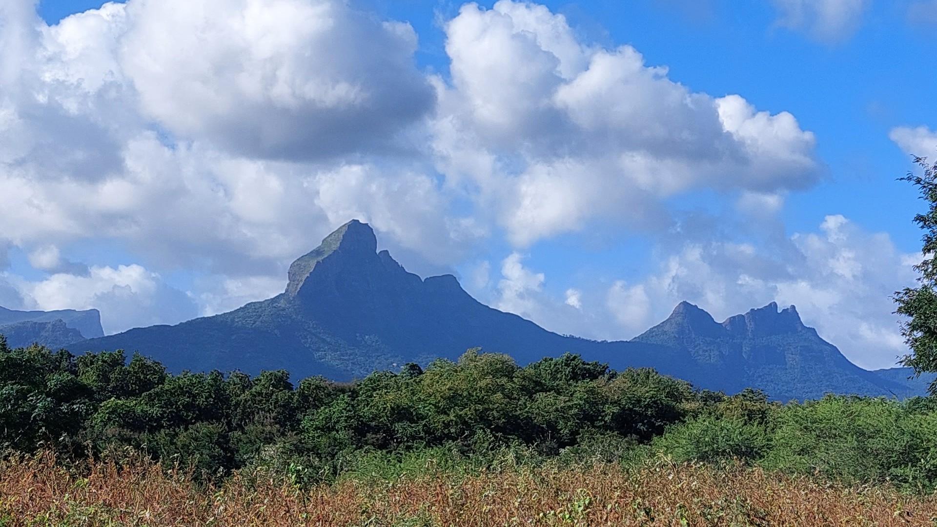 Residential land of 29959 m2 for sale in Tamarin, west, Mauritius – LexpressProperty.com | 337537 | Ref01