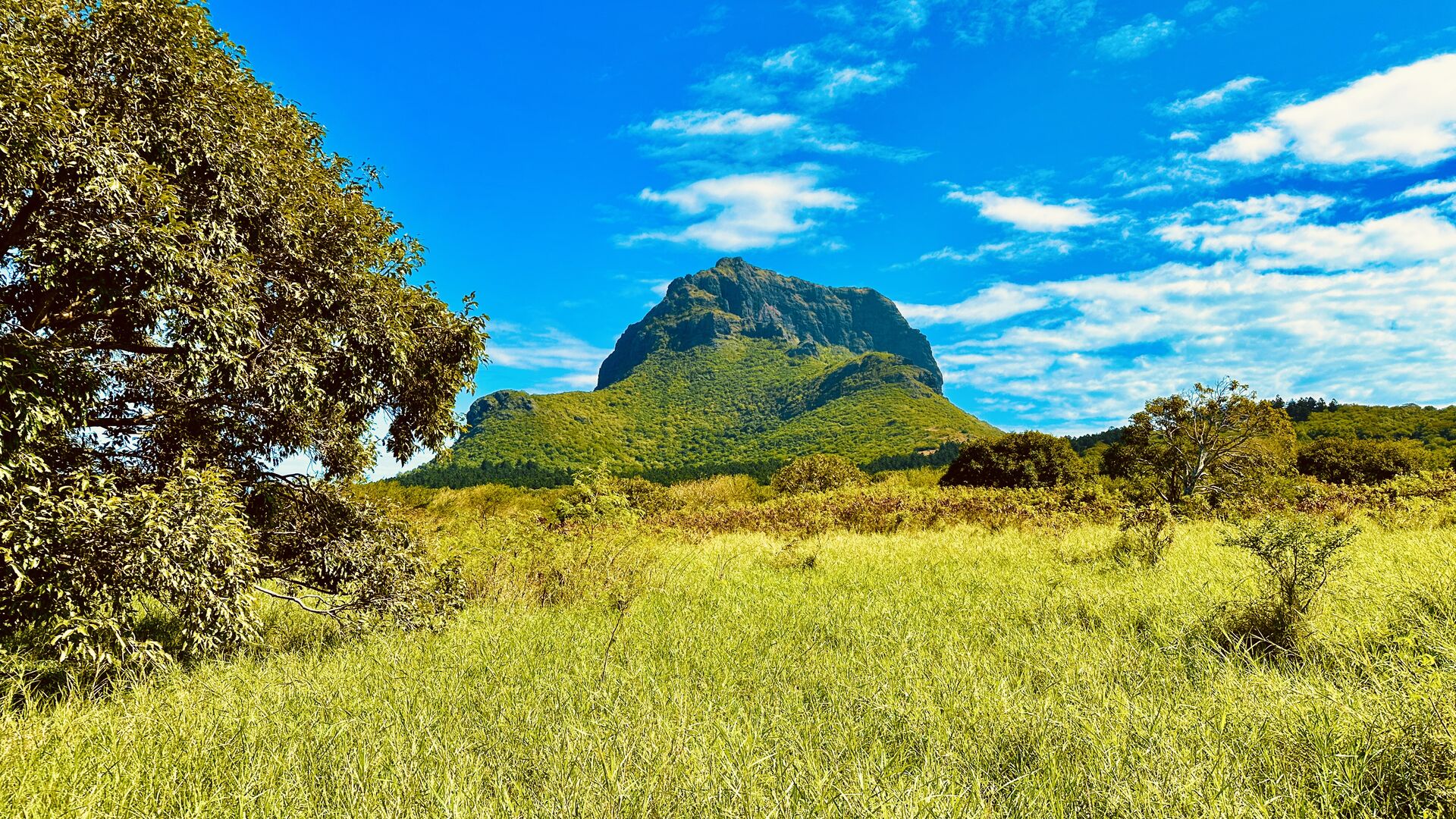 Agricultural land of 50652 m2 for sale in Le Morne, west, Mauritius – LexpressProperty.com | 385863 | Ref01