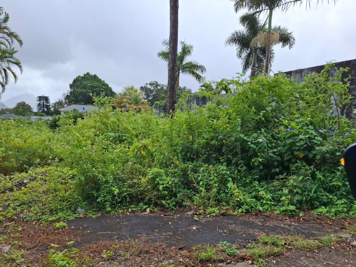 Terrain résidentiel de 2363 m2 en vente à Floréal, centre, île Maurice – LexpressProperty.com | 516912 | Ref01