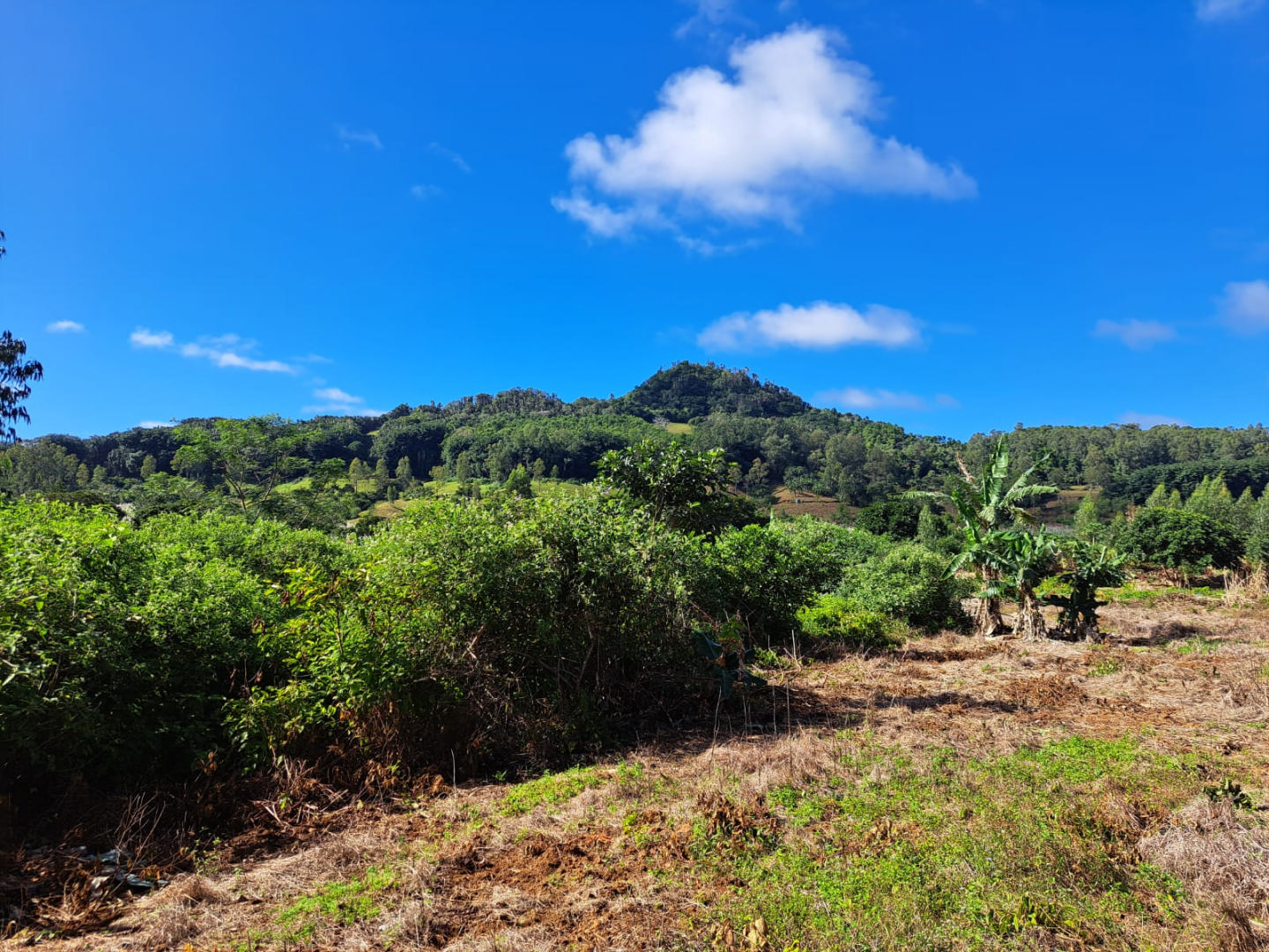 Agricultural land of 4178 m2 for sale in Riche en Eau, south, Mauritius – LexpressProperty.com | 517512 | Ref01