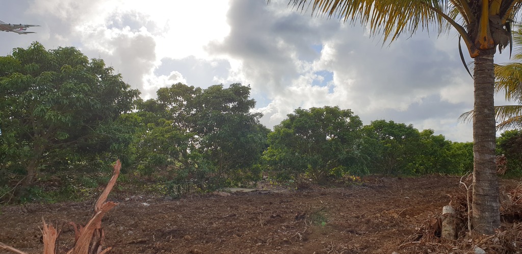 Agricultural land of 4428.11 m2 for sale in Deux Bras, south, Mauritius – LexpressProperty.com | 512964 | Ref01