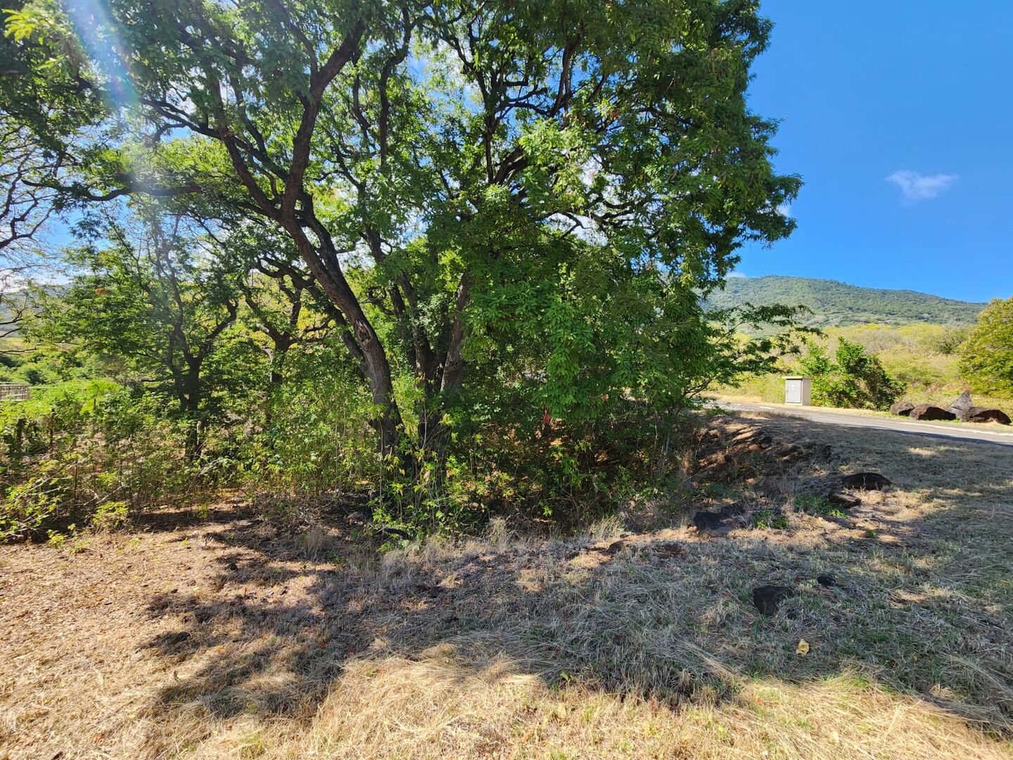 Property – LexpressProperty.com | 552645 | Ref01