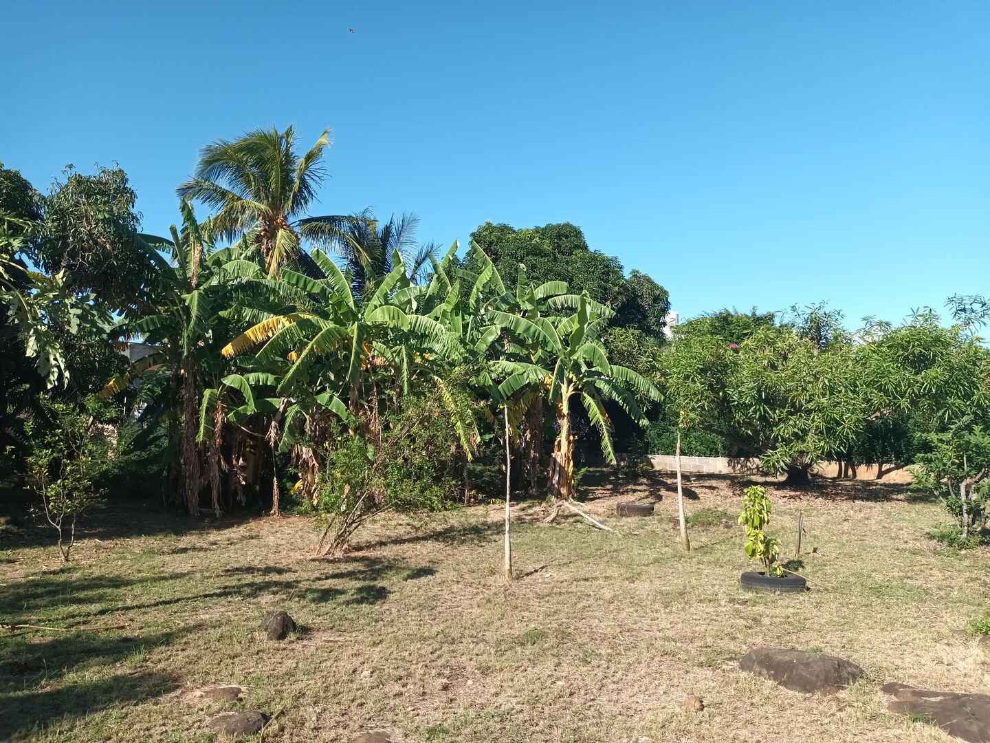 Property – LexpressProperty.com | 508115 | Ref01