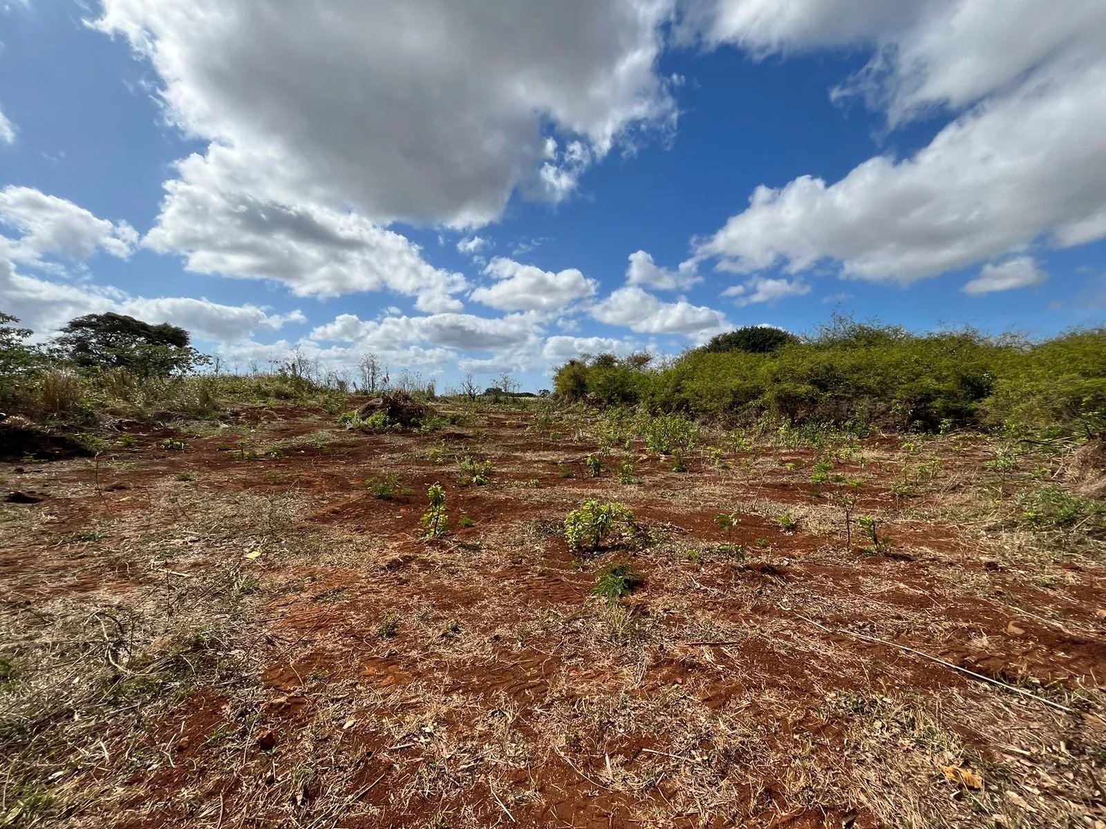 Residential land of 1140 m2 for sale in Calebasses, north, Mauritius – LexpressProperty.com | 684737 | Ref01