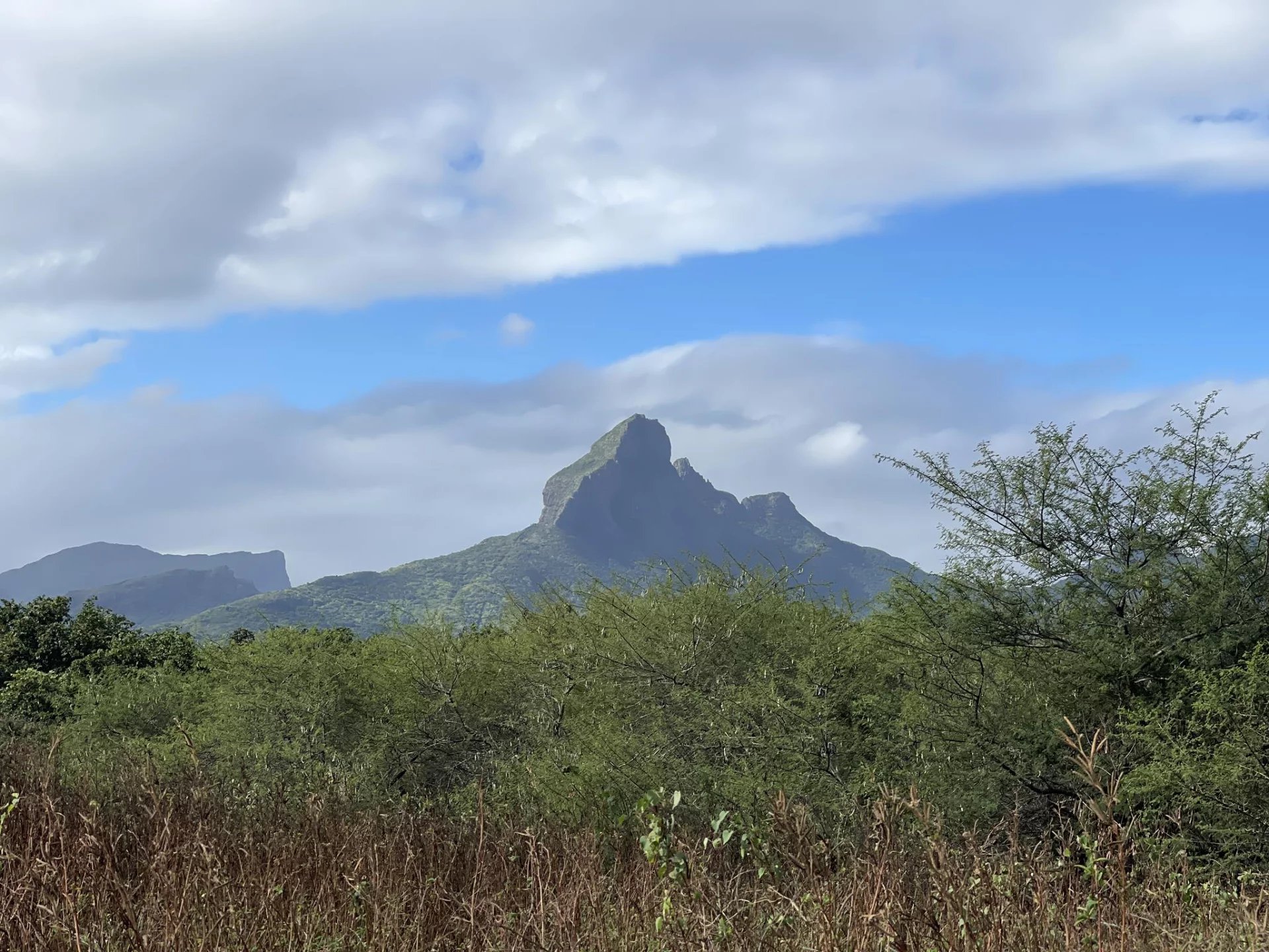 Terrain résidentiel de 29959 m2 en vente à Tamarin, ouest, île Maurice – LexpressProperty.com | 394516 | Ref01