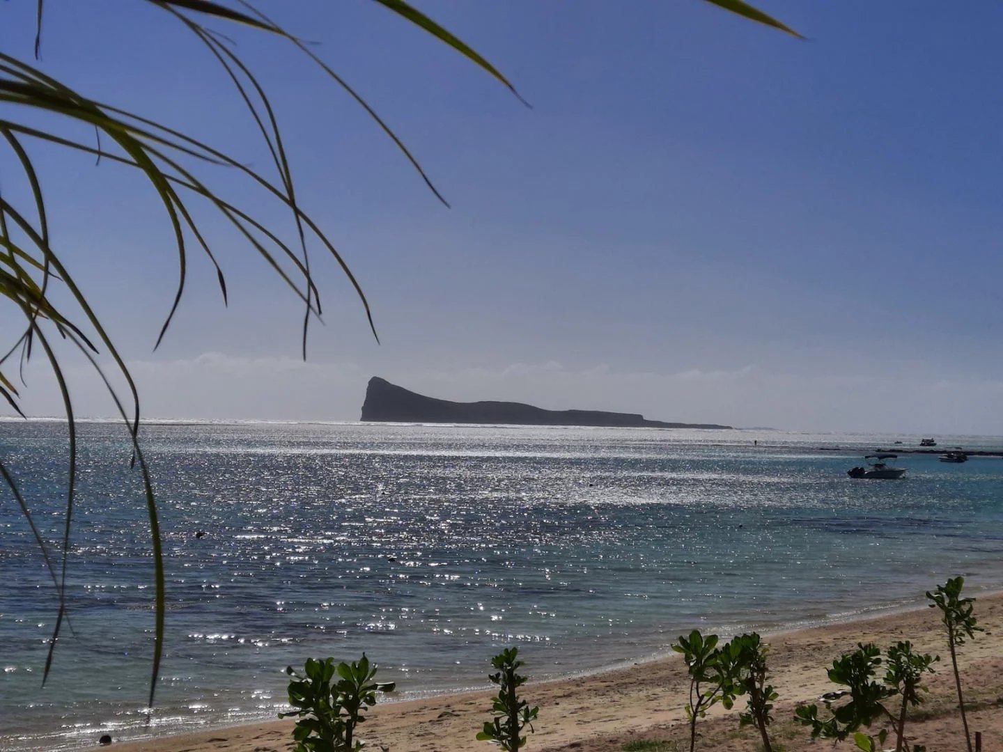 Appartement 3 Chambre(s) en location à Péreybère, nord, île Maurice – LexpressProperty.com | 685281 | Ref01