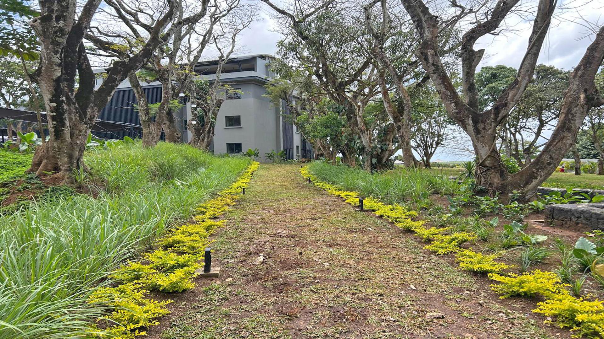 Penthouse 4 Chambre(s) en location à Belle Vue Harel, nord, île Maurice – LexpressProperty.com | 751114 | Ref01