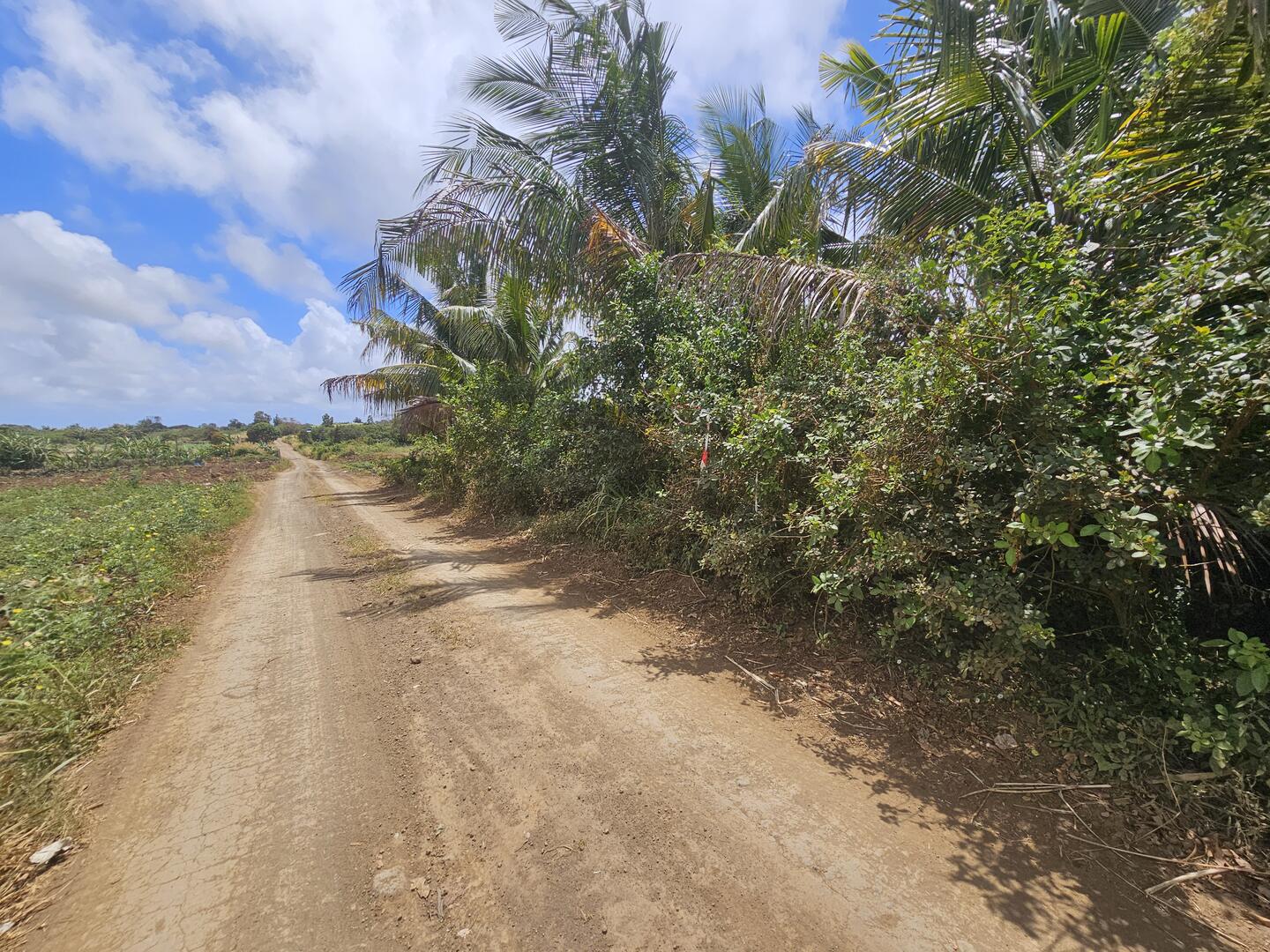 Agricultural land of 9033 m2 for sale in Rivière du Rempart, north, Mauritius – LexpressProperty.com | 751417 | Ref01