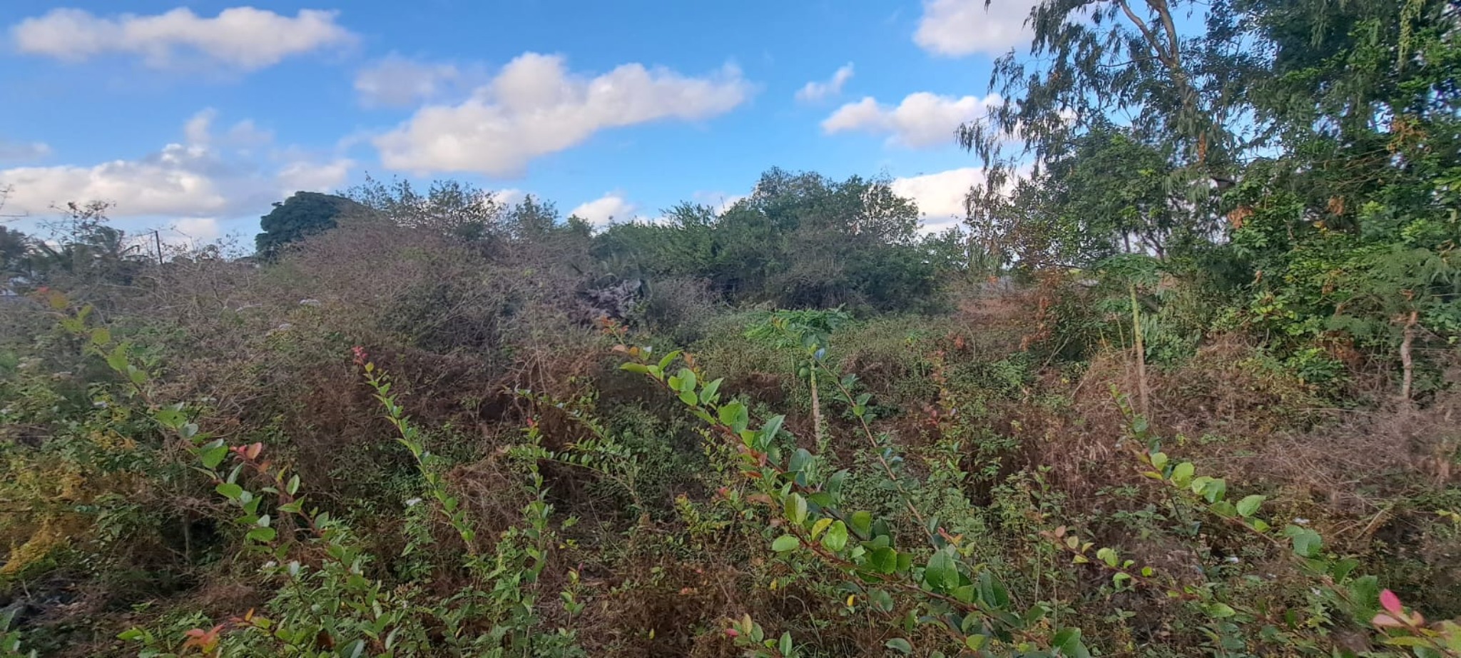 Property – LexpressProperty.com | 751451 | Ref01