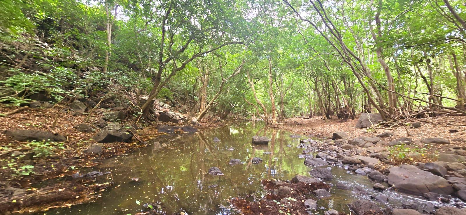 Residential land of 3311 m2 for sale in Tamarin, west, Mauritius – LexpressProperty.com | 690085 | Ref01