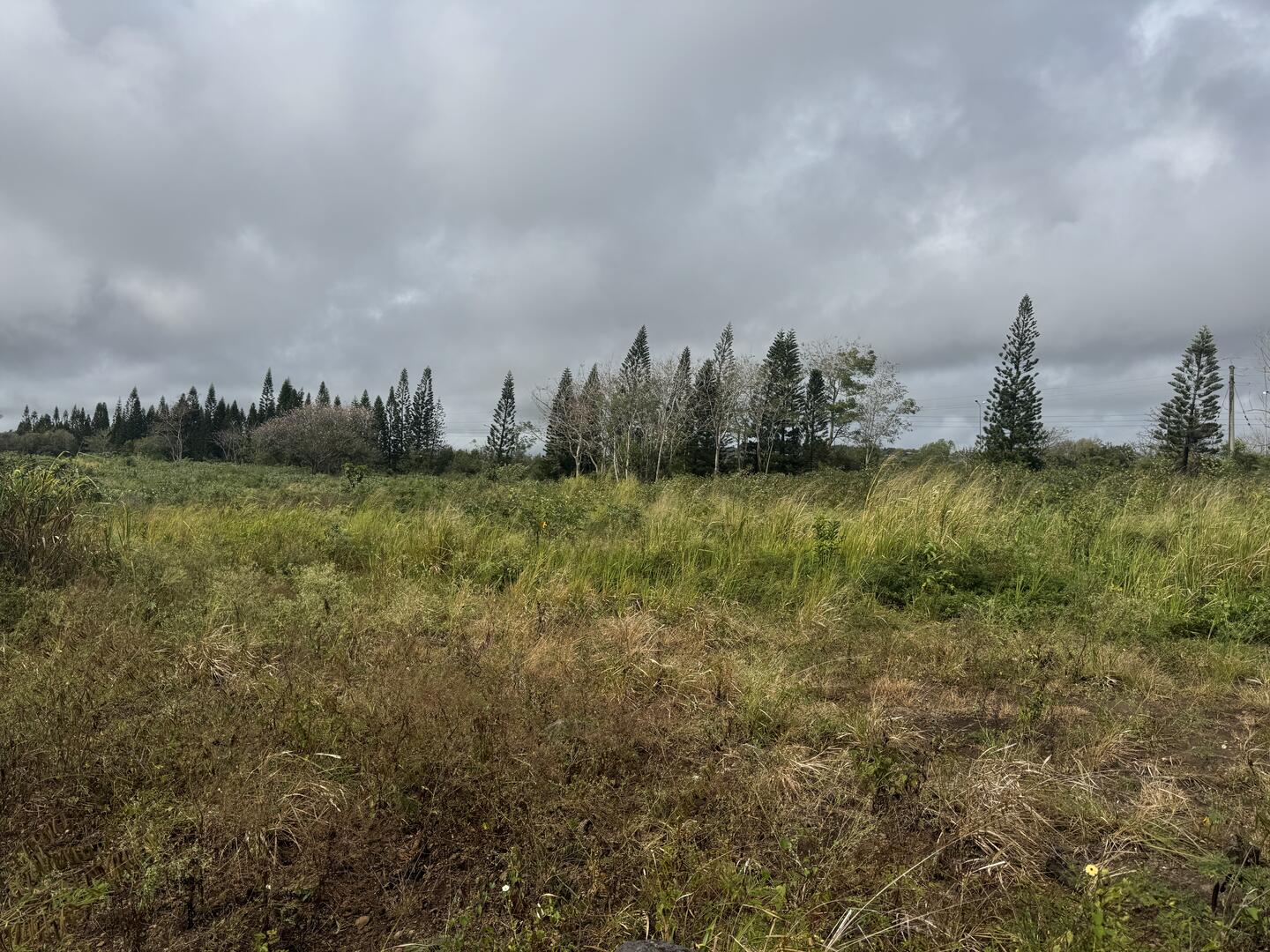 Agricultural land of 14910 m2 for sale in Forêt Daruty, north, Mauritius – LexpressProperty.com | 749930 | Ref01