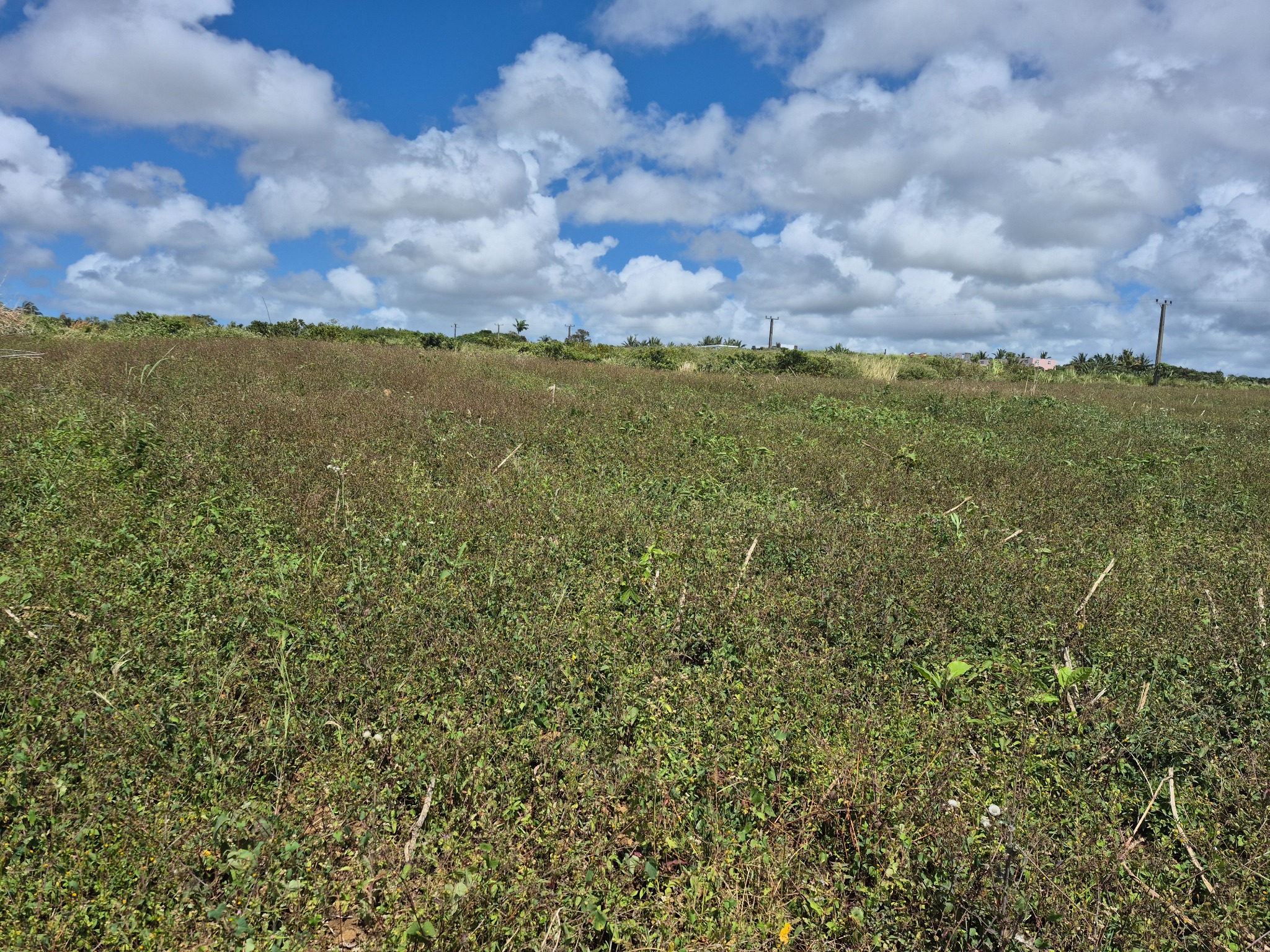 Agricultural land of 2405.8959 m² for sale in Mare d'Albert, south, Mauritius – LexpressProperty.com | 752025 | Ref01