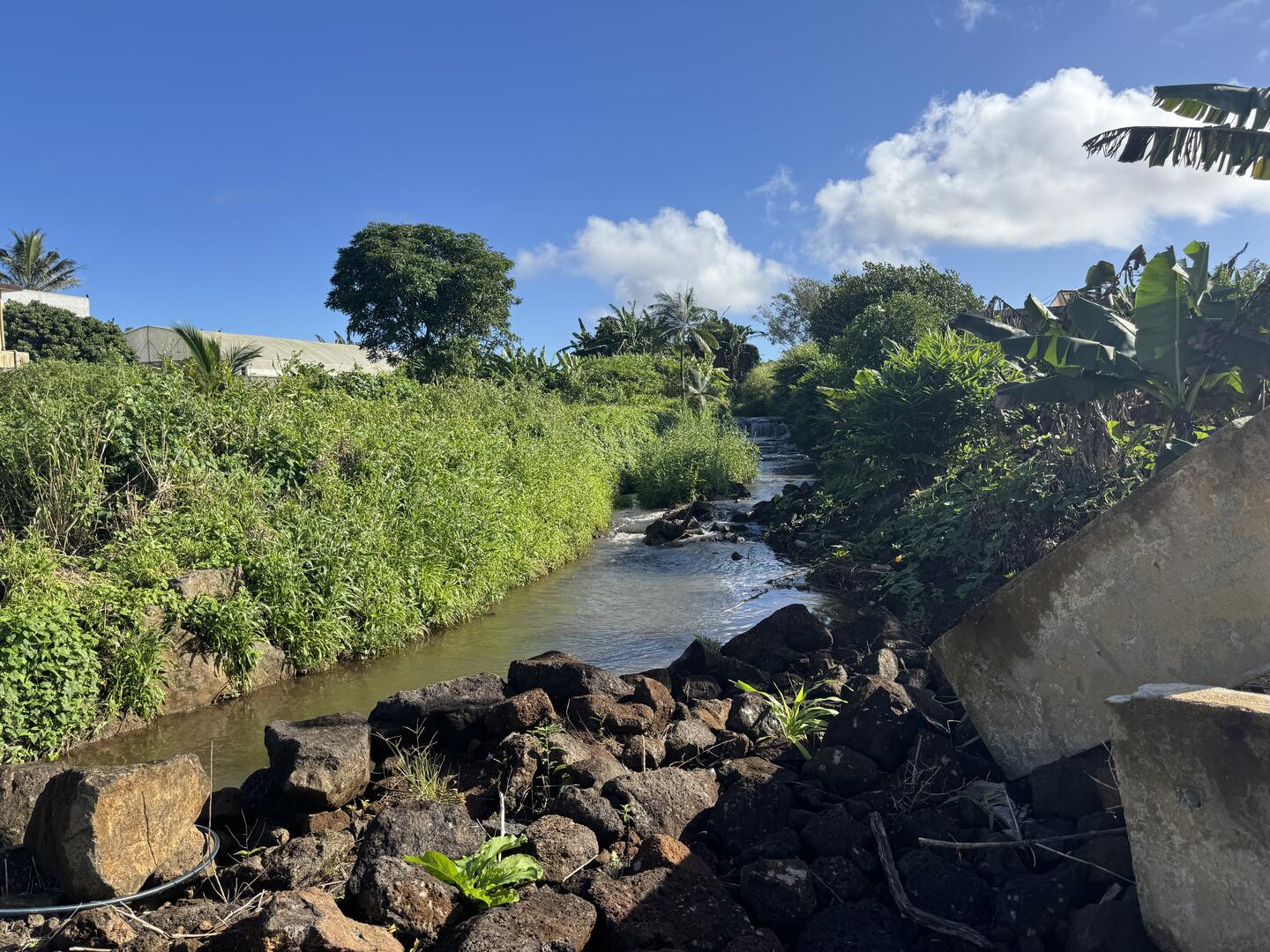 Agricultural land of 3081 m2 for sale in Camp Thorel, center, Mauritius – LexpressProperty.com | 752340 | Ref01