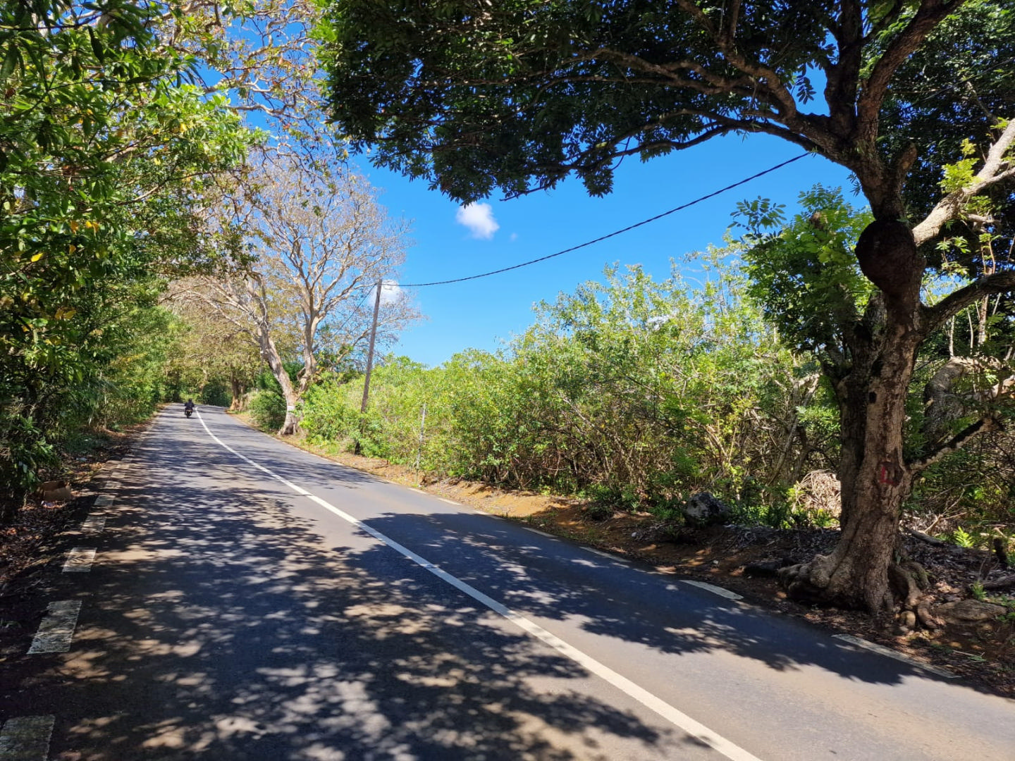 Terrain agricole de 10142 m2 en vente à Roches Noires, nord, île Maurice – LexpressProperty.com | 753067 | Ref01