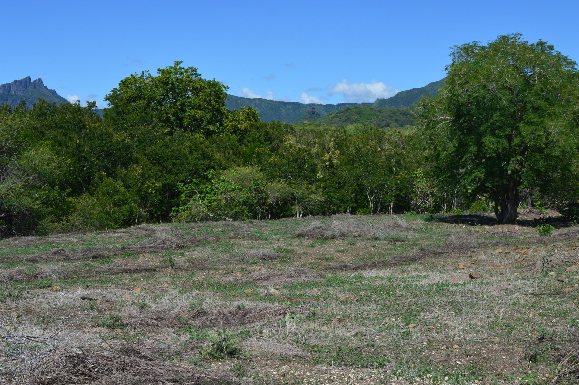Residential land of 4220 m2 for sale in Tamarin, west, Mauritius – LexpressProperty.com | 753194 | Ref01