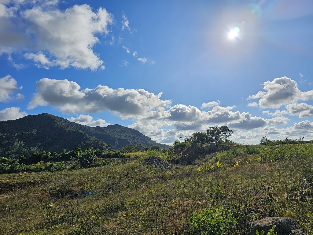 Agricultural land of 2955 m2 for sale in Clemencia, east, Mauritius – LexpressProperty.com | 753245 | Ref01