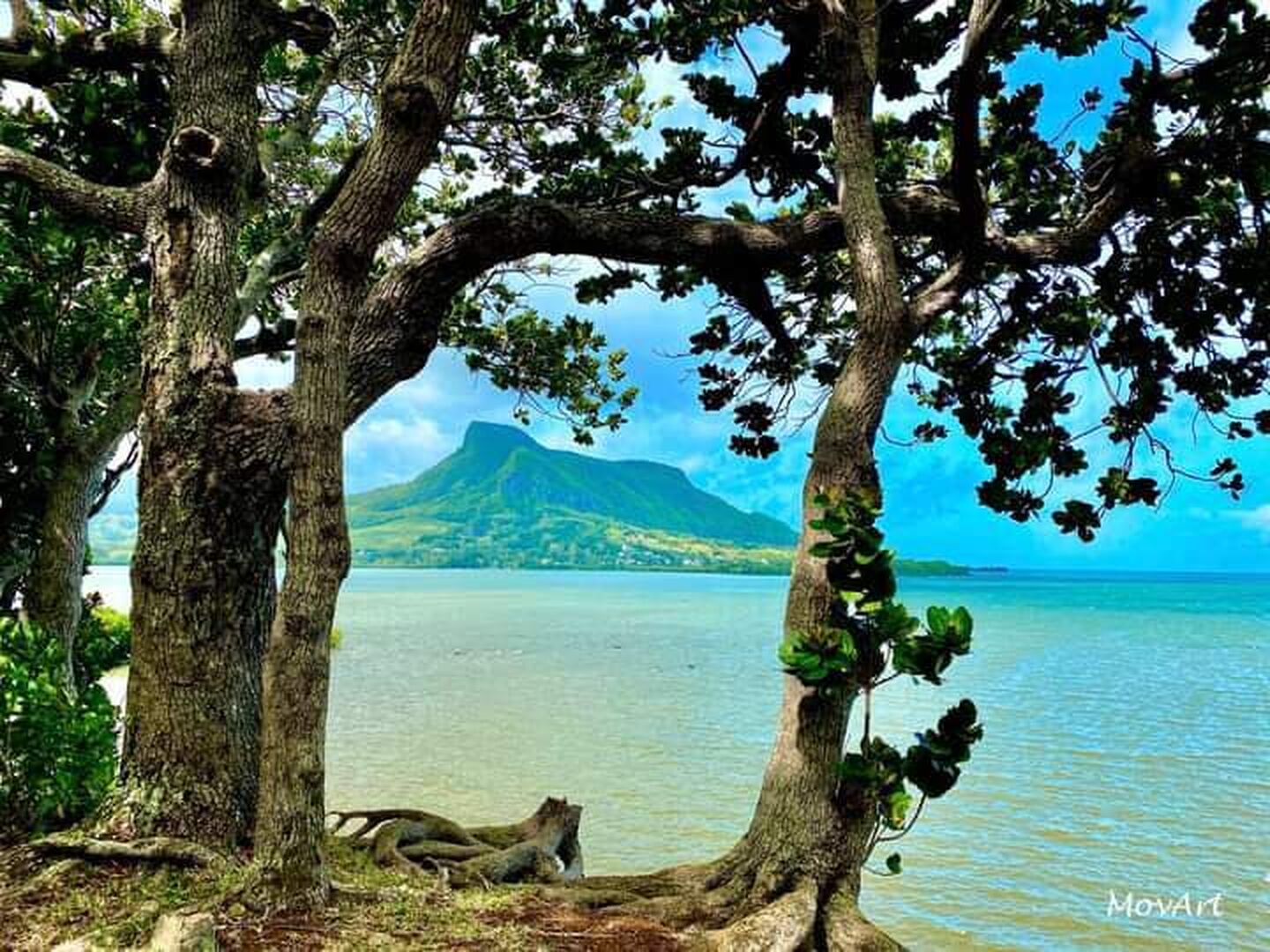 Terrain résidentiel de 54600 m2 en vente à Vieux Grand Port, sud, île Maurice – LexpressProperty.com | 750353 | Ref01