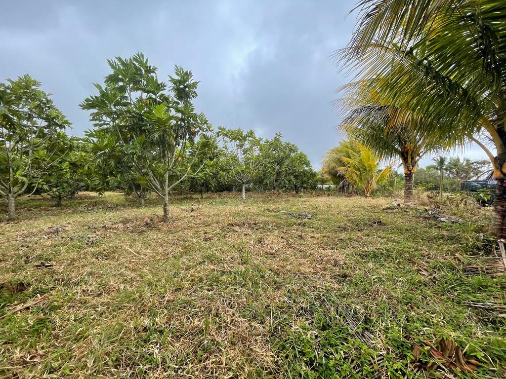 Agricultural land of 4357.92 m2 for sale in Deux Bras, south, Mauritius – LexpressProperty.com | 750775 | Ref01