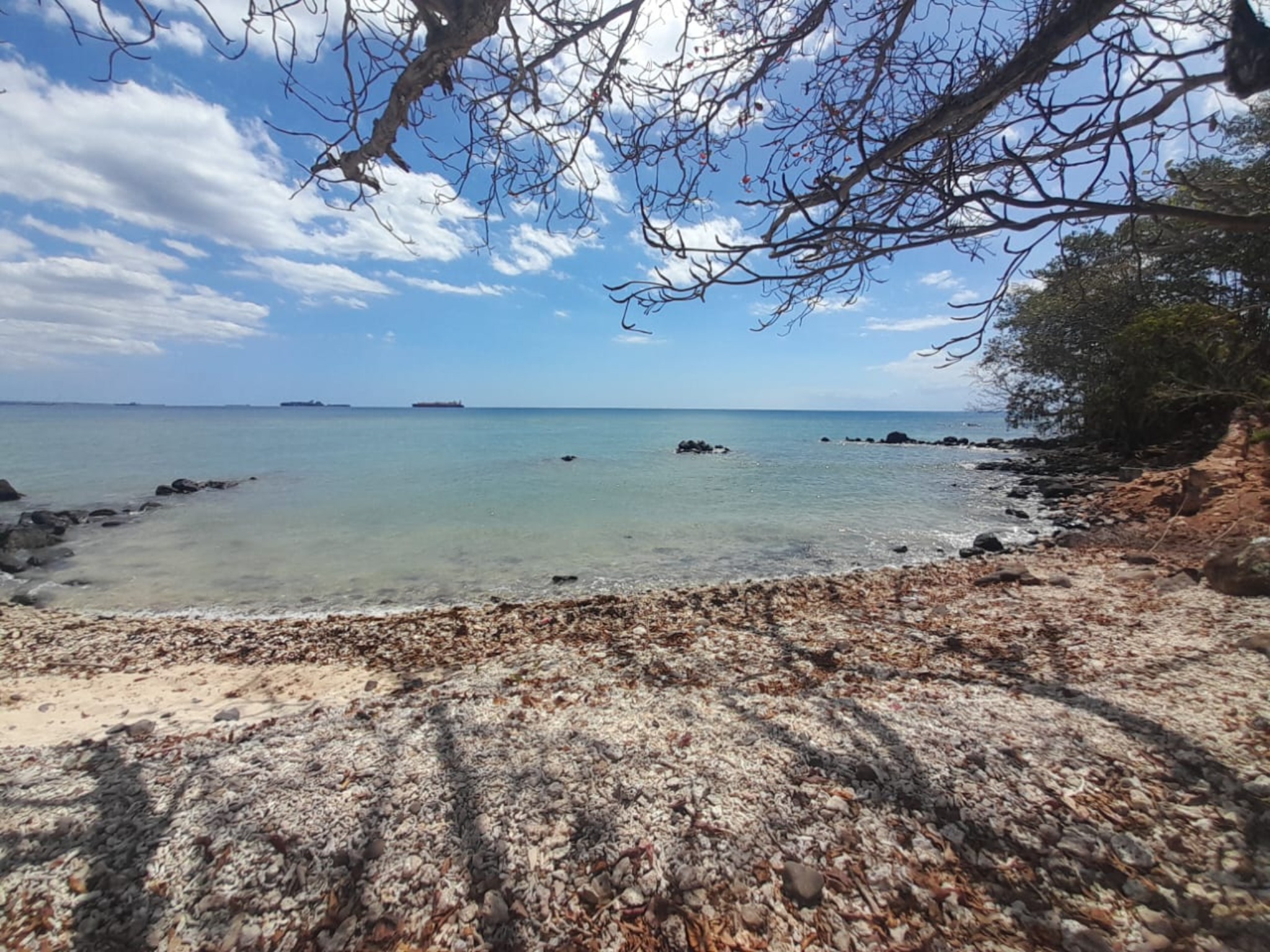 Residential land of 12662.61 m² for sale in Balaclava, north, Mauritius – LexpressProperty.com | 750927 | Ref01