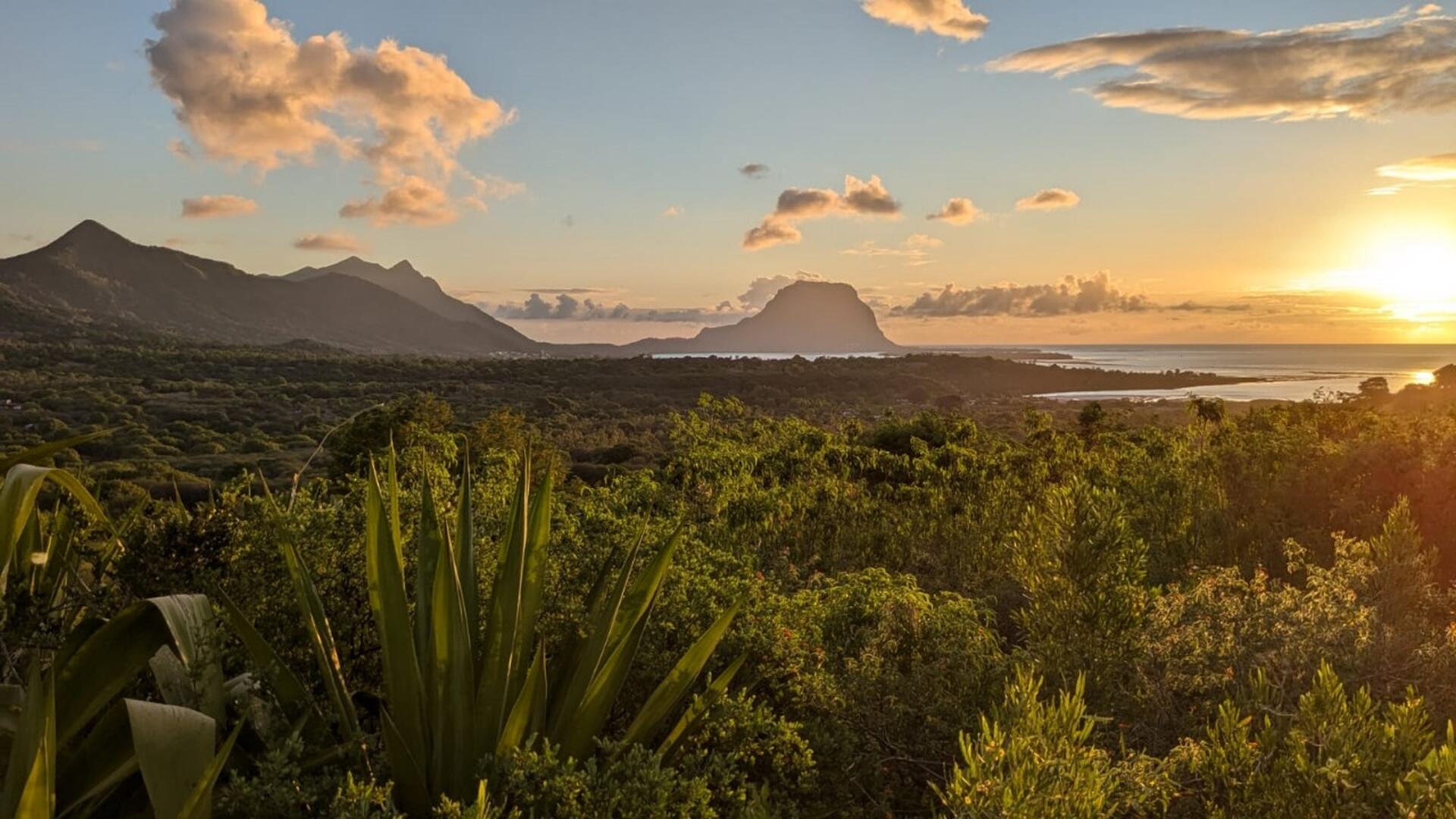 Residential land of 4237 m2 for sale in Black River, west, Mauritius – LexpressProperty.com | 754541 | Ref01