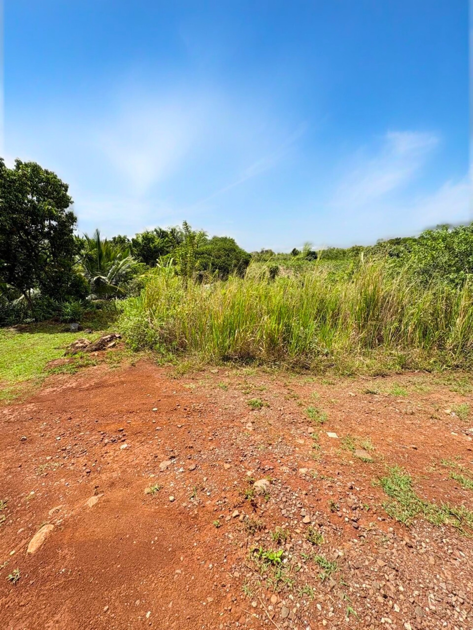 Residential land of 485.4 m2 for sale in Pont Praslin, east, Mauritius – LexpressProperty.com | 755872 | Ref01
