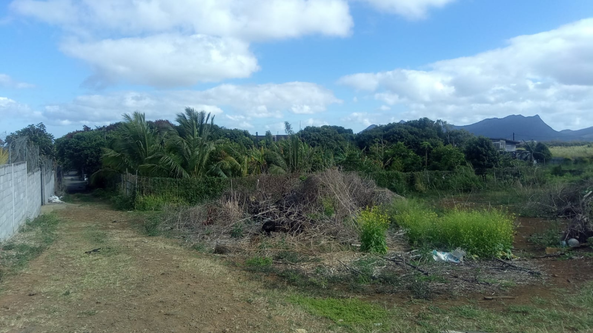 Property – LexpressProperty.com | 756325 | Ref01
