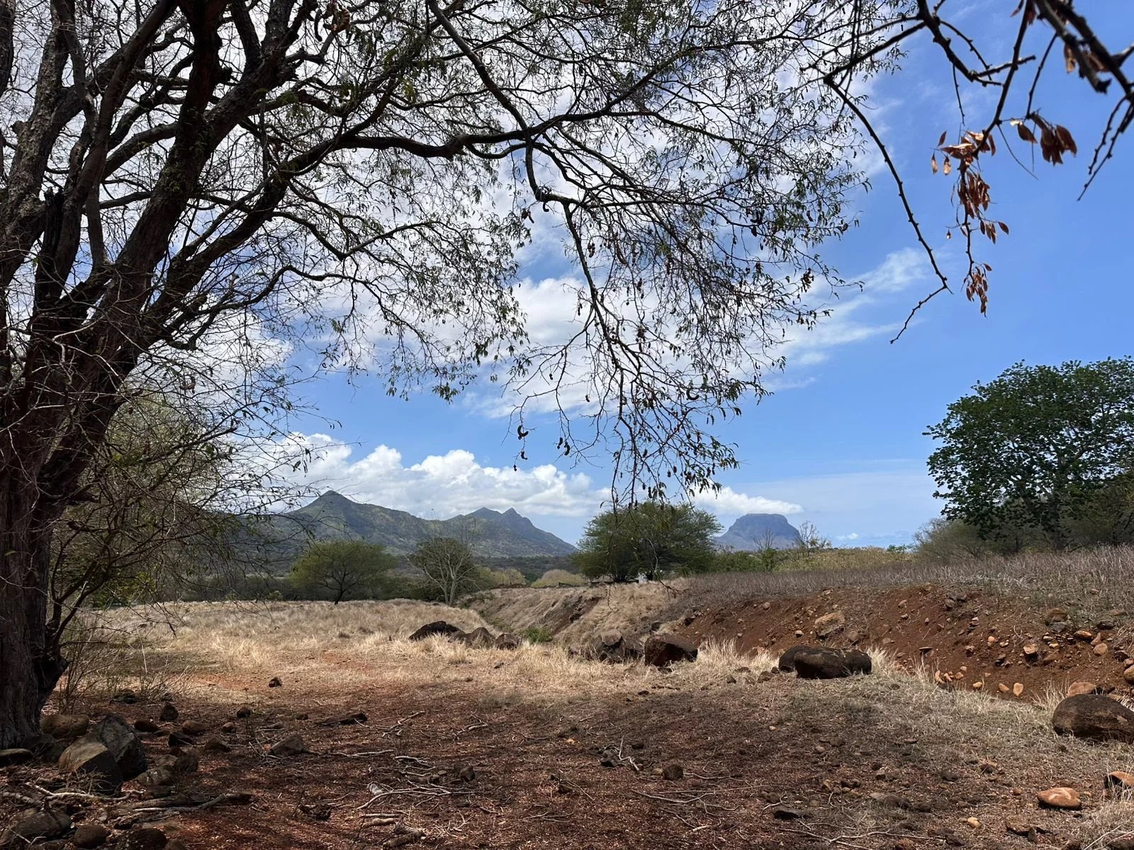 Residential land of  for sale in Petite Rivière Noire, west, Mauritius – LexpressProperty.com | 756798 | Ref01