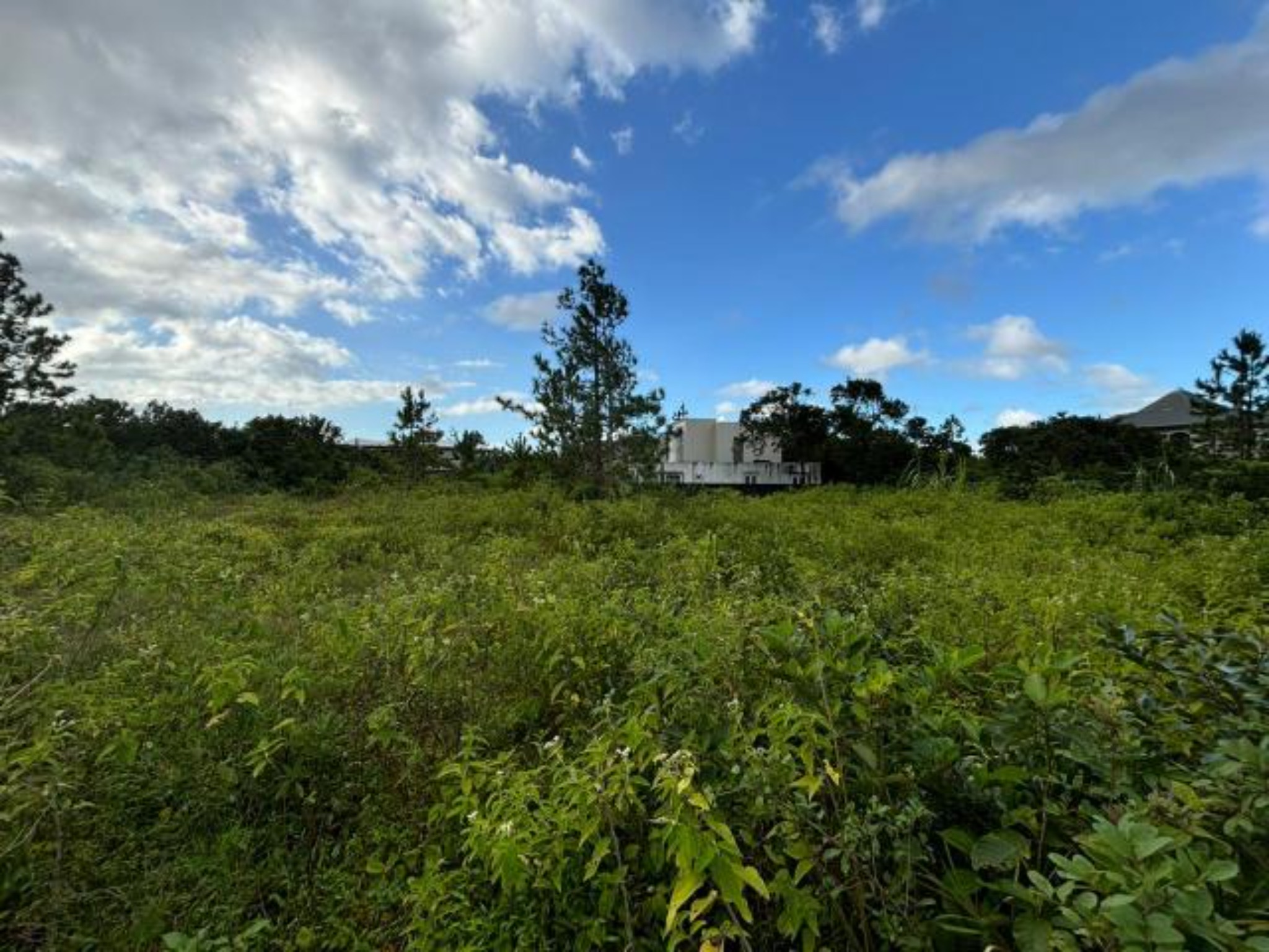 Terrain résidentiel de 476.95831 m² en vente à Wooton, centre, île Maurice – LexpressProperty.com | 747321 | Ref01