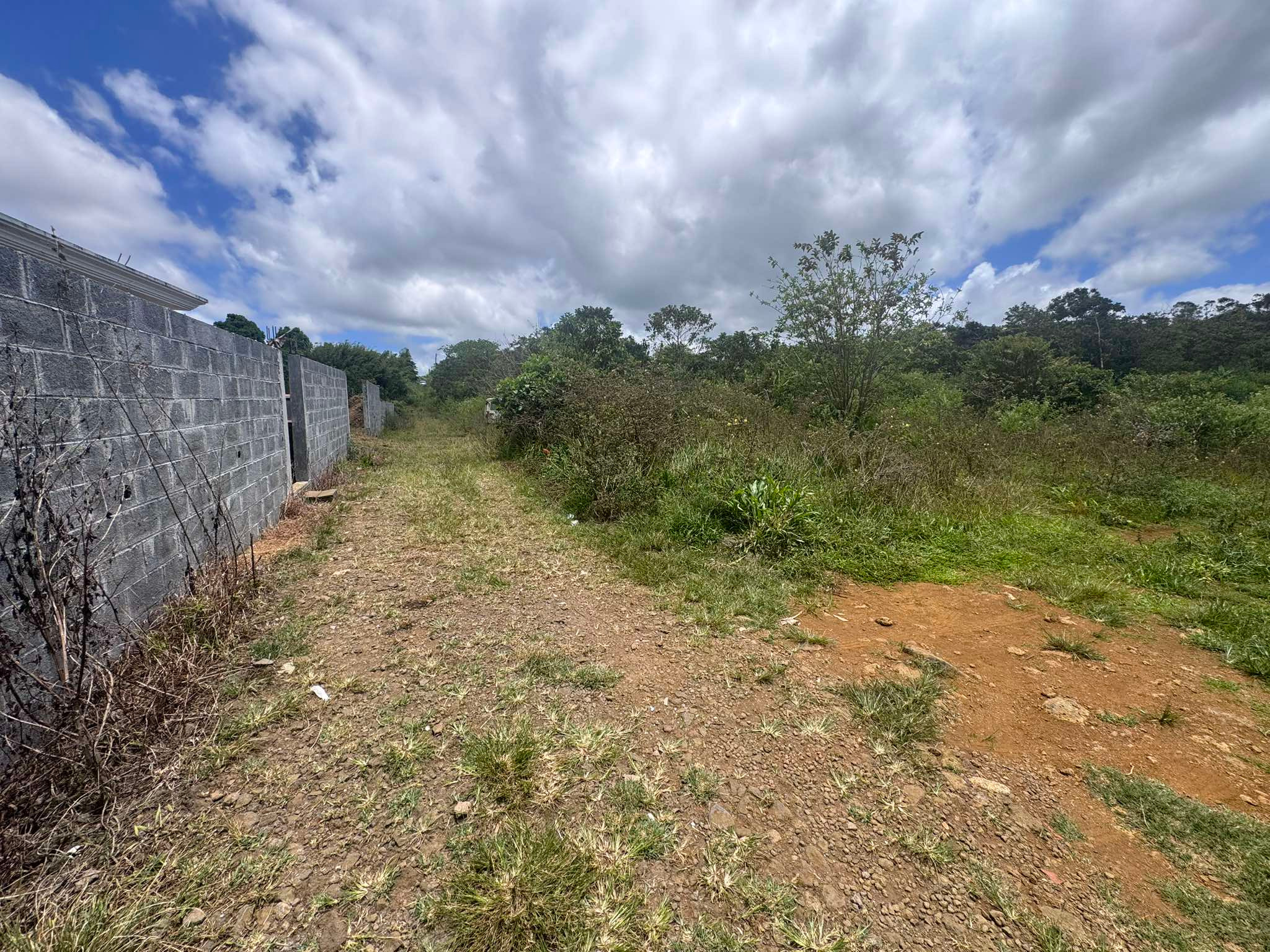 Property – LexpressProperty.com | 753509 | Ref01