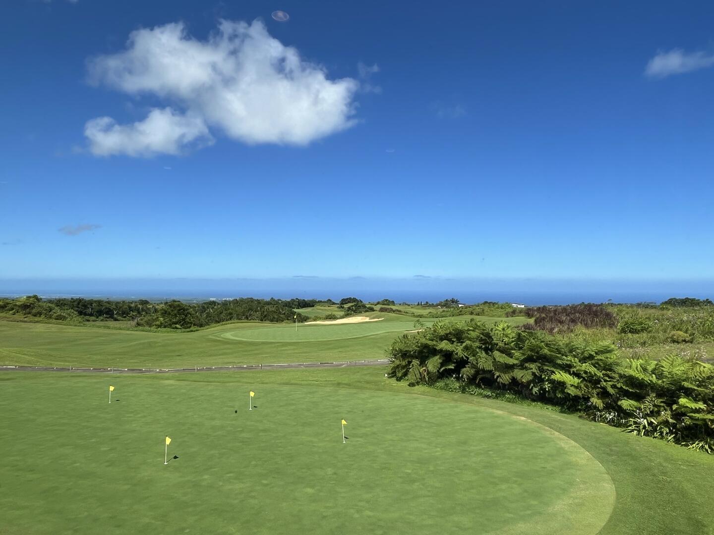 Residential land of 5015 m2 for sale in Bois Chéri, south, Mauritius – LexpressProperty.com | 696268 | Ref01
