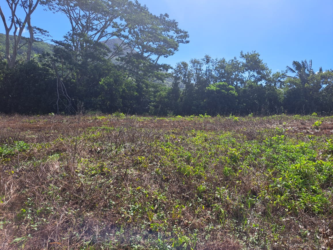 Agricultural land of 5963 m2 for sale in Chamarel, west, Mauritius – LexpressProperty.com | 758037 | Ref01