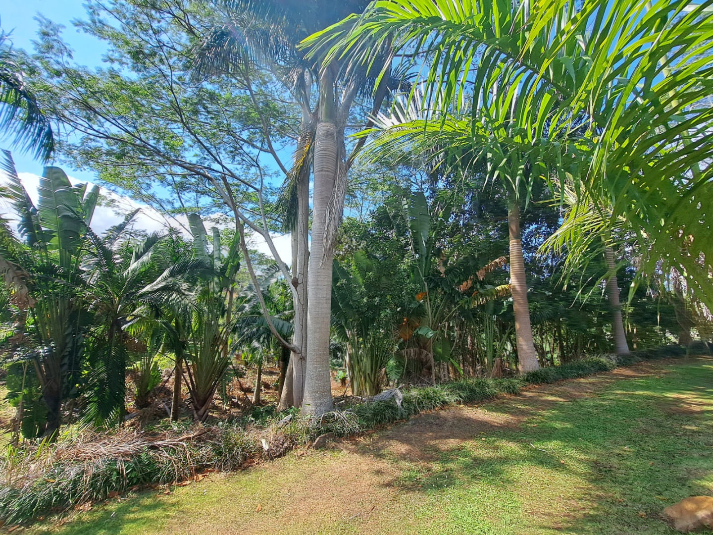 Agricultural land of 10836 m2 for sale in Chamarel, west, Mauritius – LexpressProperty.com | 758035 | Ref01