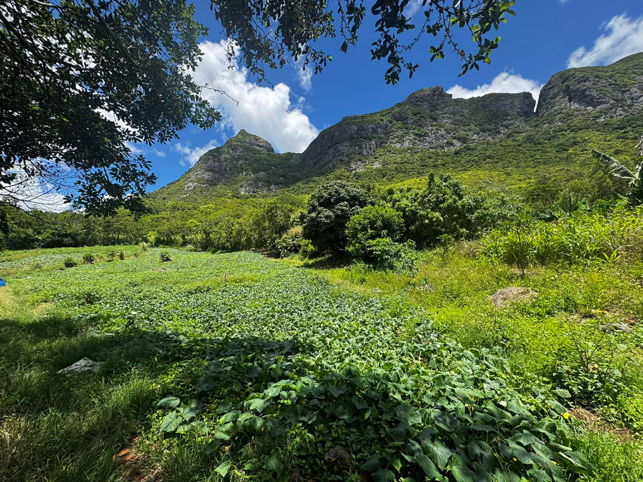 Property – LexpressProperty.com | 760385 | Ref01