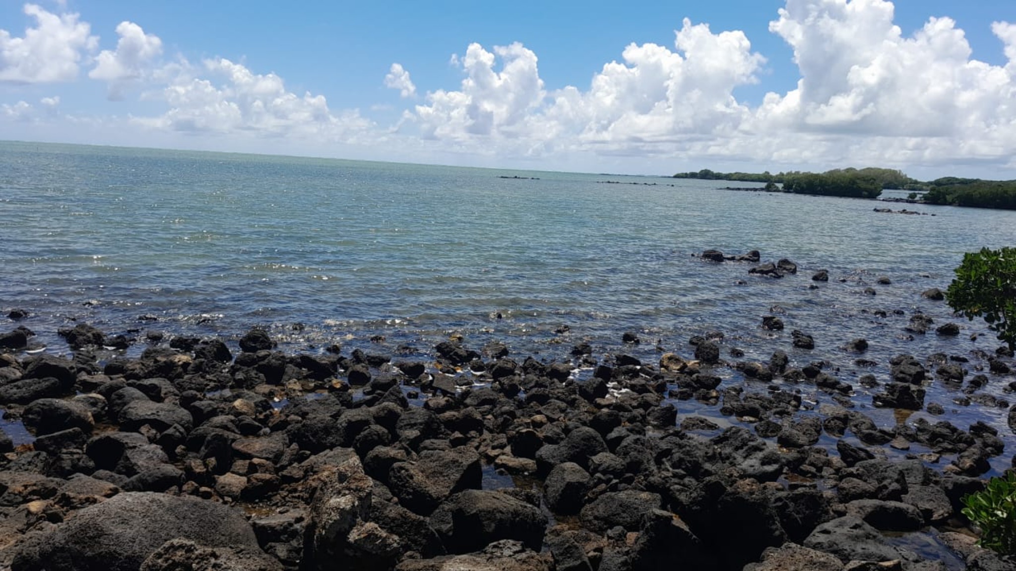 Terrain résidentiel de 15828.2625 m² en vente à Ile d'Ambre, nord, île Maurice – LexpressProperty.com | 761251 | Ref01