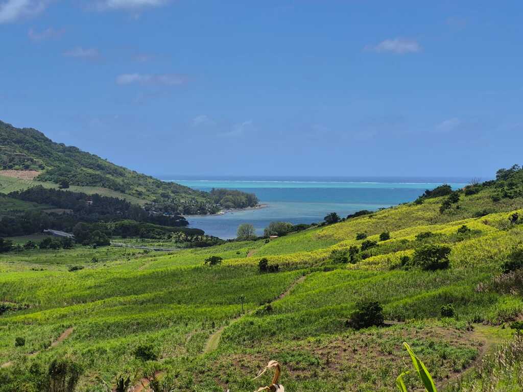 Agricultural land of 2621.55 m2 for sale in Anse Jonchée, south, Mauritius – LexpressProperty.com | 403315 | Ref01