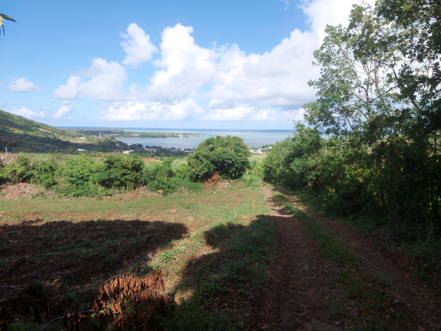 Residential land of 134000 m2 for sale in Quatre Soeurs, east, Mauritius – LexpressProperty.com | 762178 | Ref01