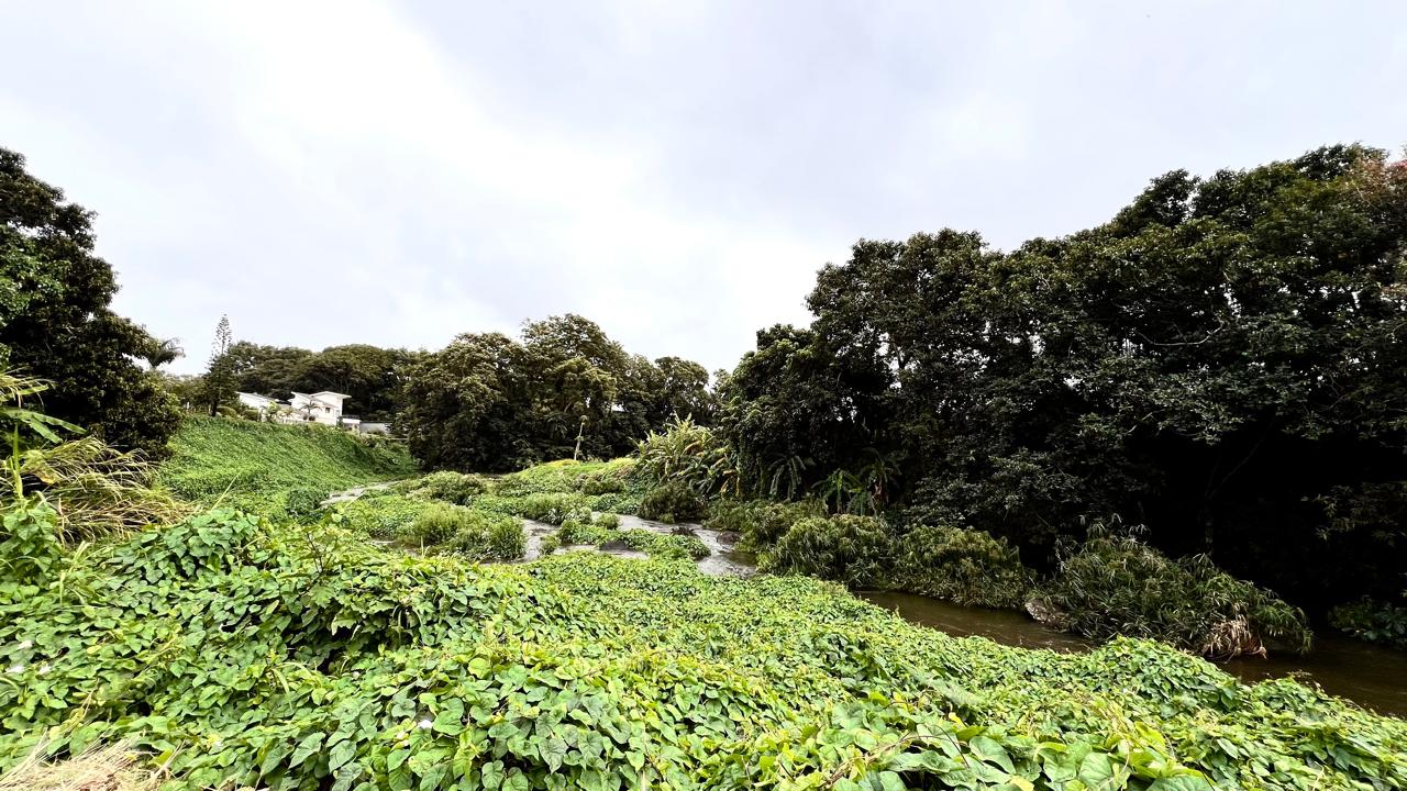 Terrain résidentiel de 2616 m2 en vente à Abercrombie, nord, île Maurice – LexpressProperty.com | 201982 | Ref01
