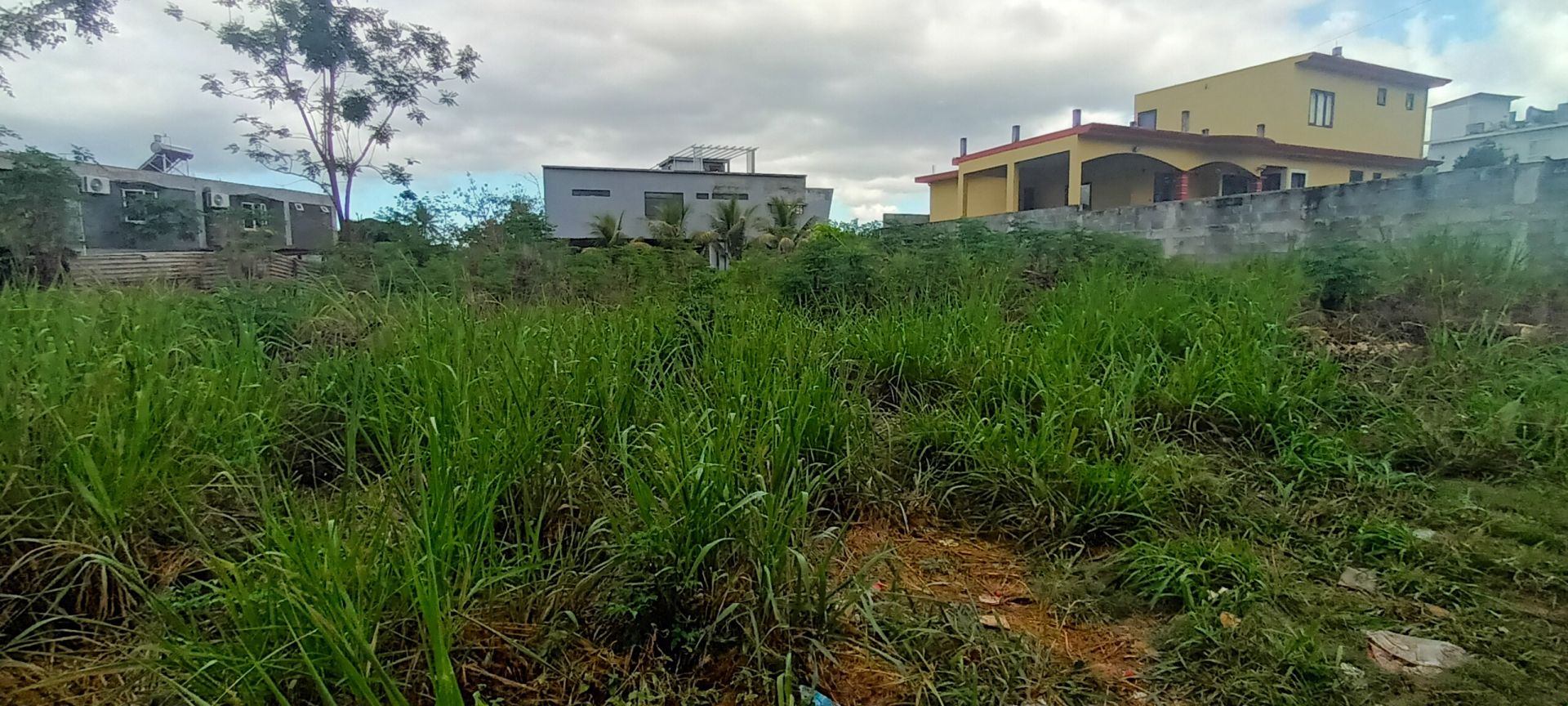 Property – LexpressProperty.com | 762966 | Ref01