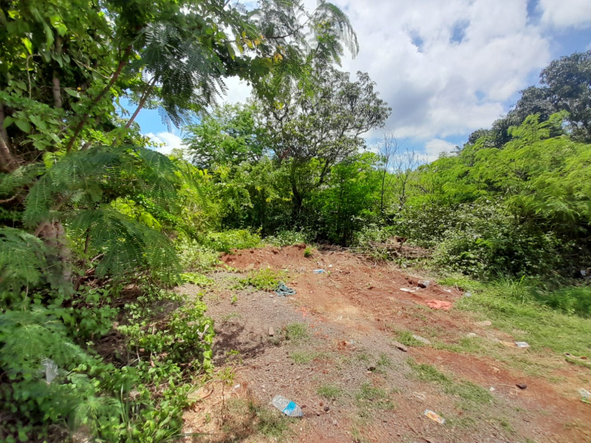 Terrain commercial de 12198.3143 m² en vente à Pailles, centre, île Maurice – LexpressProperty.com | 754818 | Ref01