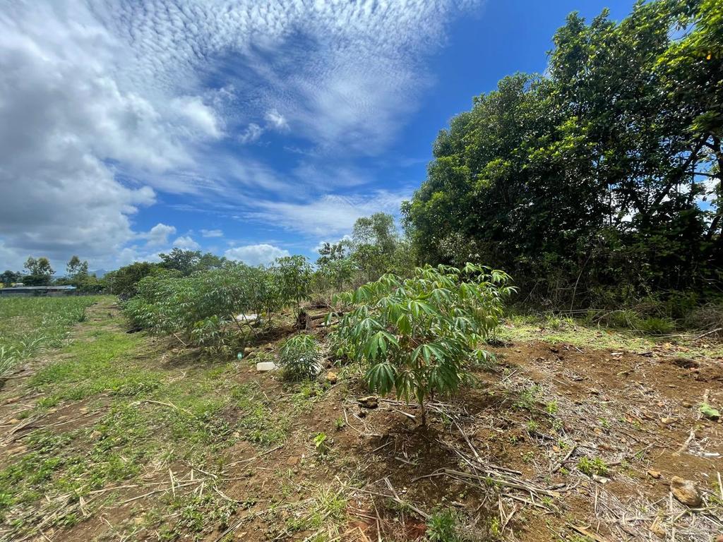 Residential land of 1506.52 m2 for sale in Deux Bras, south, Mauritius – LexpressProperty.com | 758935 | Ref01